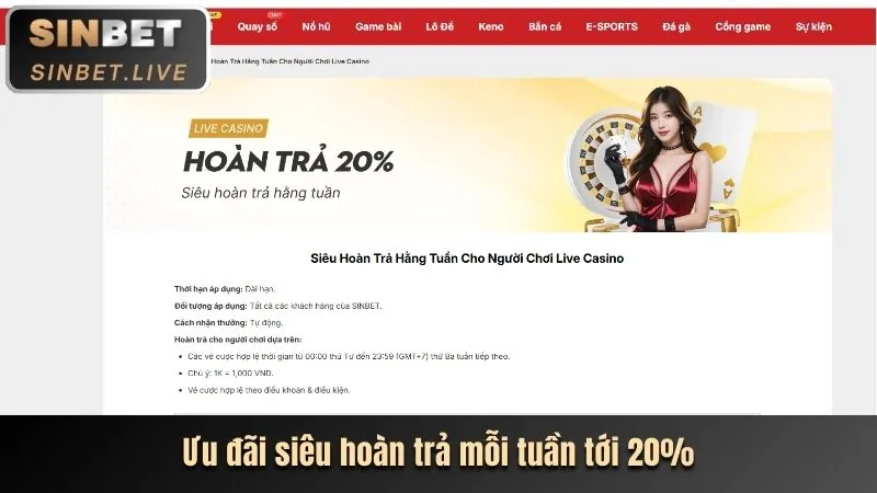 Chương Trình Hoàn Trả Thua Cược